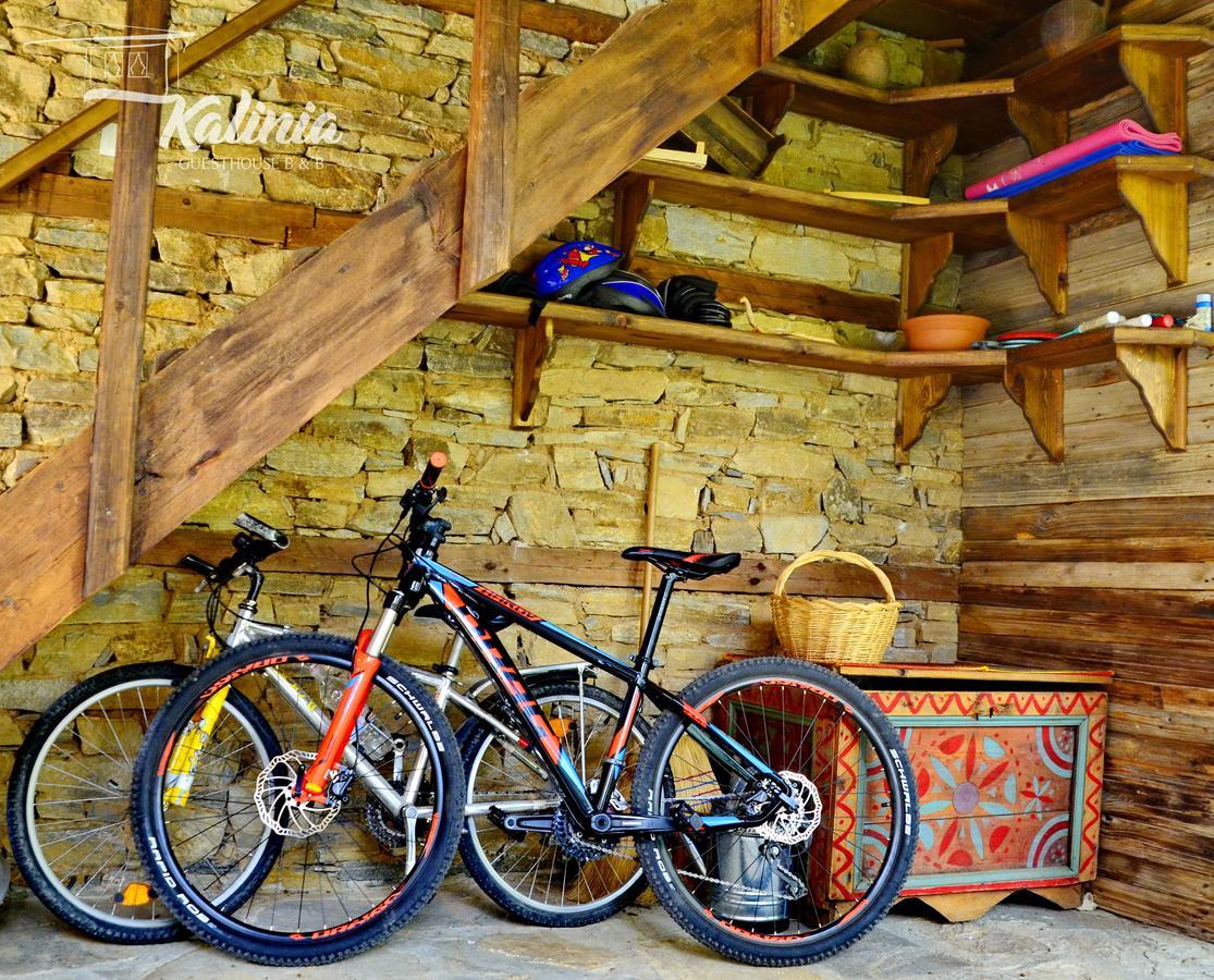 Kalinia Guesthouse B&B Kovačevica Exterior foto