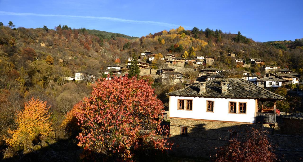 Kalinia Guesthouse B&B Kovačevica Exterior foto