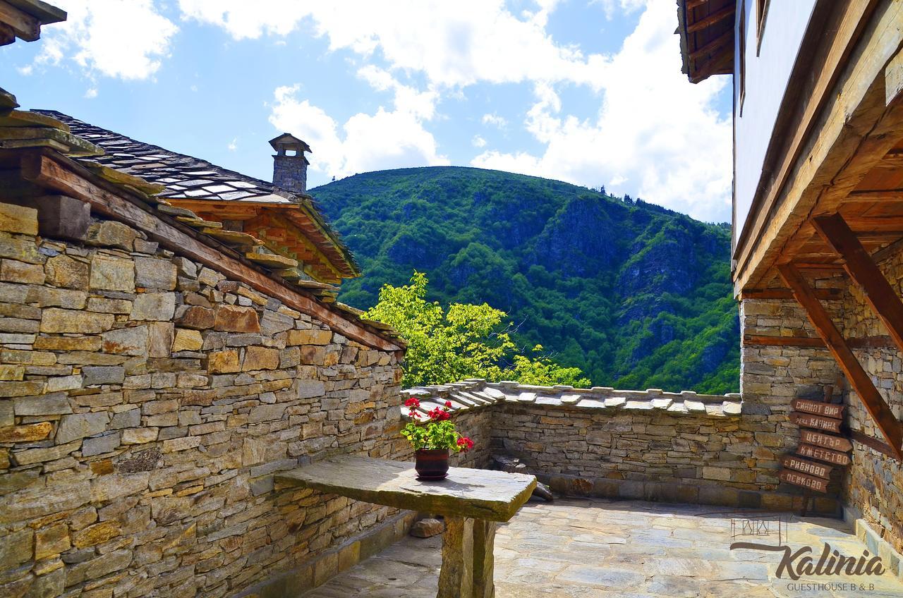 Kalinia Guesthouse B&B Kovačevica Exterior foto
